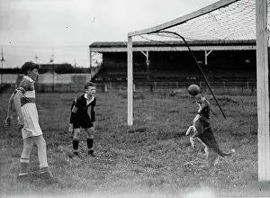 Goalkeepers: Dog goalie