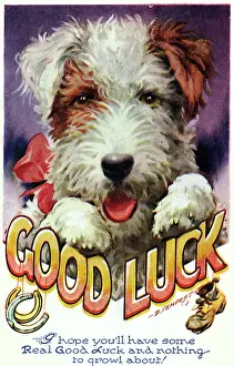 Superstition: DOG GOOD LUCK CARD