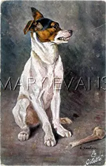 Growls: DOG GUARDING BONE 1911