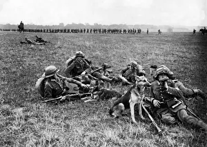 Messenger: Dog handlers during a break, 1925