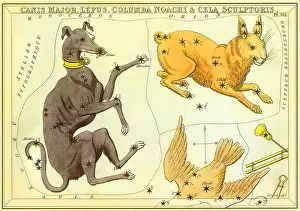 Constellations: Dog, Hare and Bird withStars