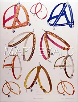 Harnesses: DOG HARNESSES