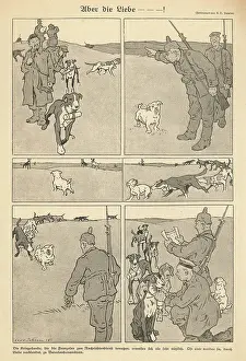Limit: DOG ON HEAT AT WAR