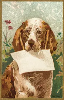 Griffon: Dog holding blank paper