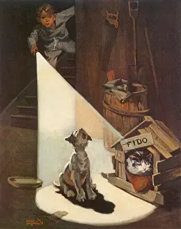 Flashlight: Dog Howling at Cat in Doghouse