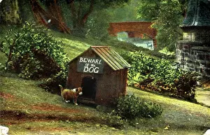 Kennel: Dog & Kennel