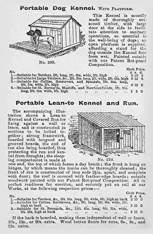 Kennels: Dog kennels