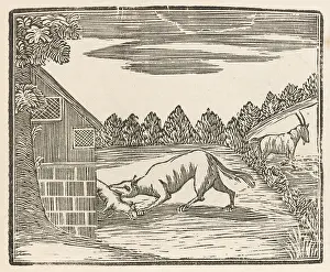 Grabbed: DOG AND KID