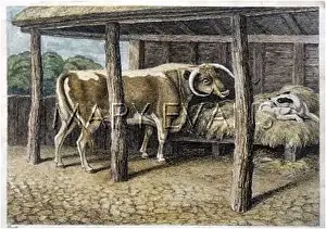 Mangers: The Dog in the Manger