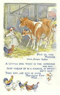 Cowshed: Dog in the Manger, Aesop's Fable