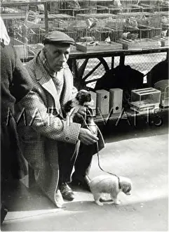 Ramblas: DOG MARKET BARCELONA
