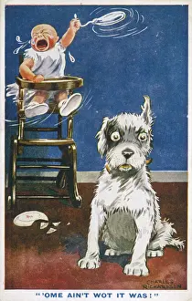Shattered: DOG AND NEW BABY