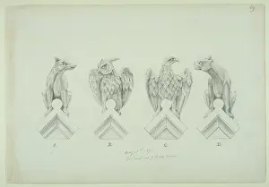 Strigiformes: Dog, owl and eagle design