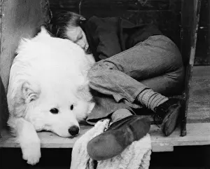 Bored: Dog and owner, Manchester Dog Show
