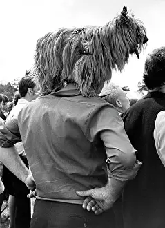 Amusing: Dog and owner, Platt Fields Park, Manchester