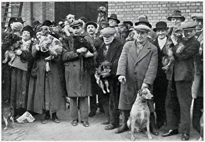 Licences: Dog owners given free licences
