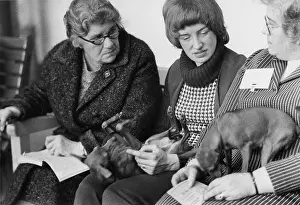 Lapdog: Dog owners and lapdogs at a dog show