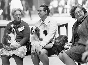 Lapdog: Dog owners and spaniels at a dog show