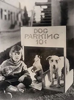 Cents: Dog Parking 10 Cents