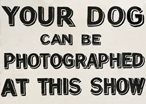 Your dog can be photographed sign