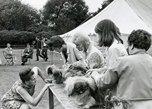 Platt: Dog show at Platt Fields Park, Manchester