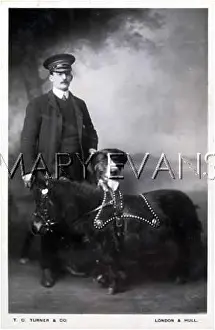 Ponys: DOG, PONY AND OWNER