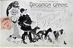 DOG SHOW POSTER AMIENS