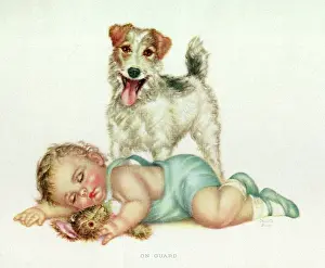 Stuffed: Dog Protects Baby