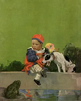 Barks: Dog protects Boy from Frog