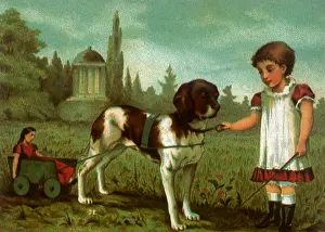 Harnessed: Dog Pulls Wagon