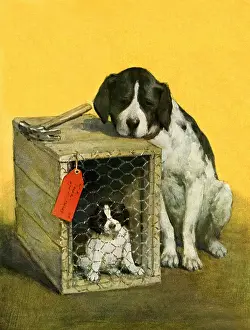 Wired: Dog with Pup in Cage