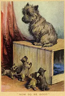 Crate: Dog and Puppies - Now Do Be Good