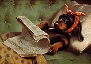 Smokes: Dog Relaxing