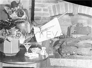 Doggie: DOG RELAXING BY FIRE
