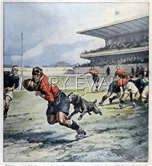 Tackled: DOG RESCUES RUGBY PLAYER