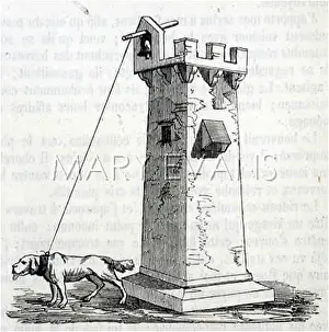 Harnessed: THAT DOG RINGS A BELL