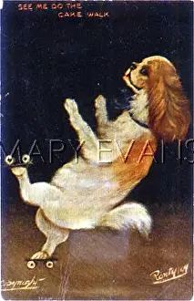 Forepaws: DOG ON ROLLER SKATES