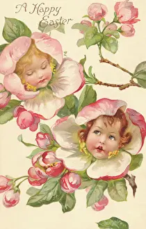Nister: Dog rose flower faces