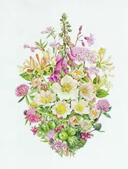 Foxglove: Dog Rose, Foxglove and Honeysuckle