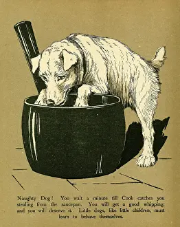 Saucepan: DOG AND SAUCEPAN