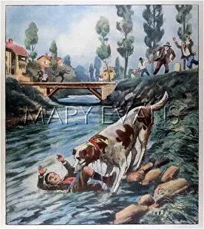 Gonzaga: DOG SAVES BOY, ITALY