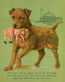 Saves: DOG SAVES DOLL FROM SEA