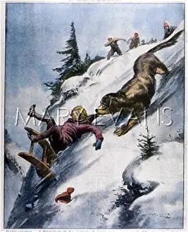 Precipice: DOG SAVES FALLING BOY