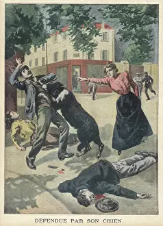 Disgruntled: DOG SAVES MISTRESS