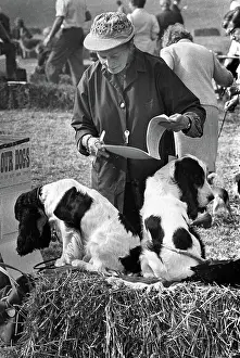 Springer: Dog Show, Hereford