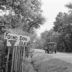 Informing: Found Dog Sign