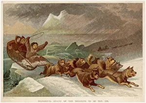 Floes: DOG SLEIGH IN ARCTIC