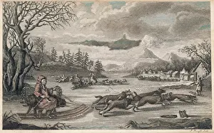 Perouse: Dog Sleigh Kamchatka