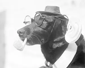 Bespectacled: Dog with Specs and Pipe