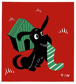 Kennel: Dog with a stocking outside a kennel